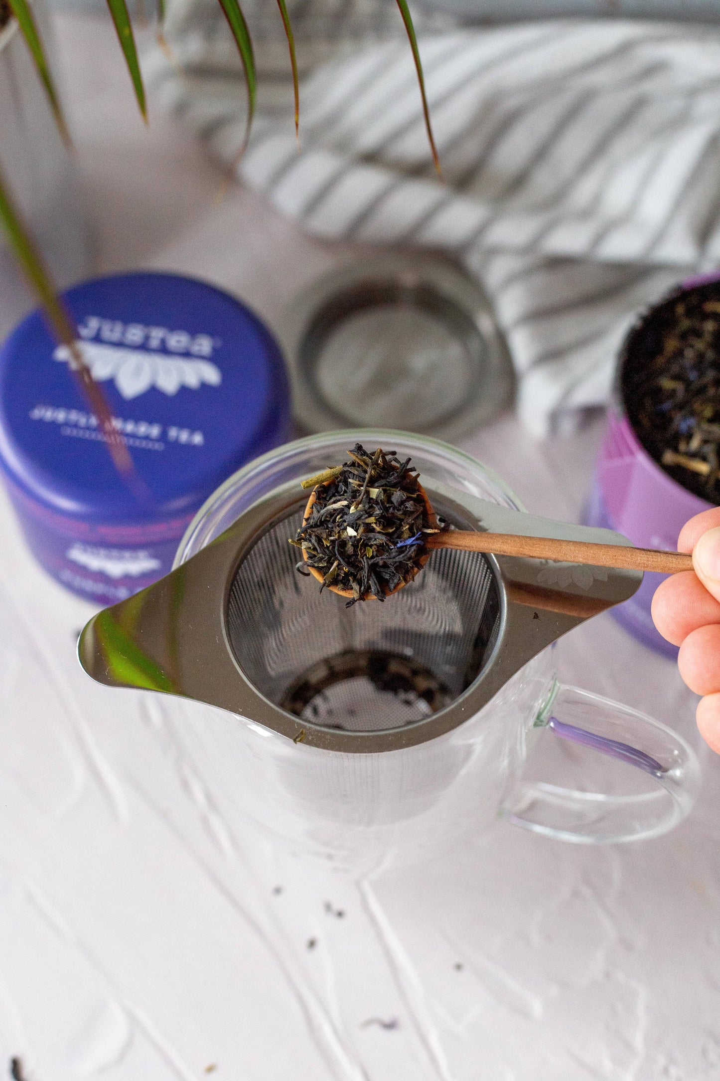 JusTea: Tea Infuser with Dual-use Coaster Lid - Tea Steeper Strainer