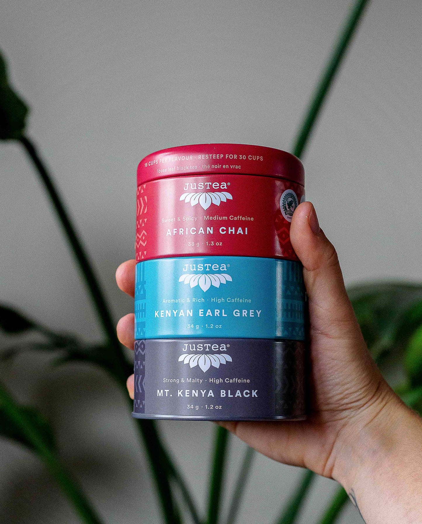 JusTea: Black Tea Trio Tin & Spoon - Organic, Fair-Trade Tea Gift