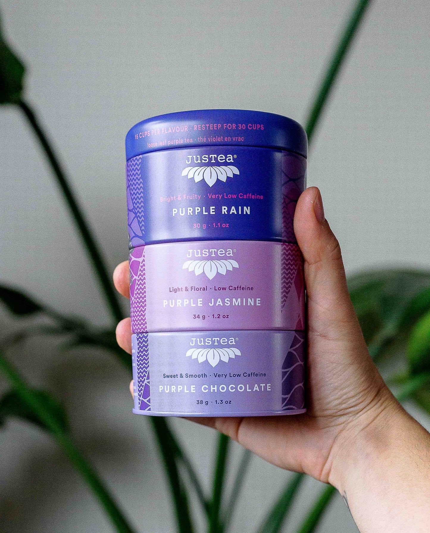 JusTea: Purple Tea Trio Tin & Spoon - Organic, Fair-Trade Tea Gift