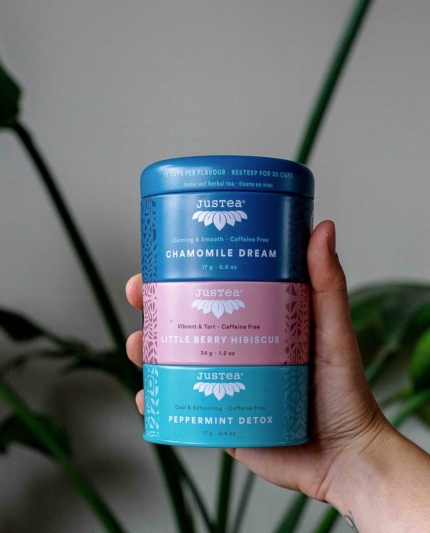 JusTea: Herbal Tea Trio Tin & Spoon - Organic, Fair-Trade Tea Gift